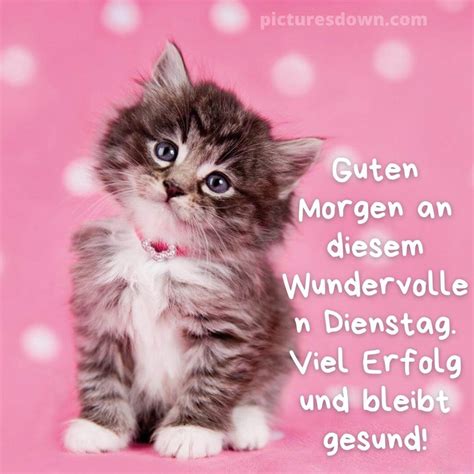 guten morgen dienstag